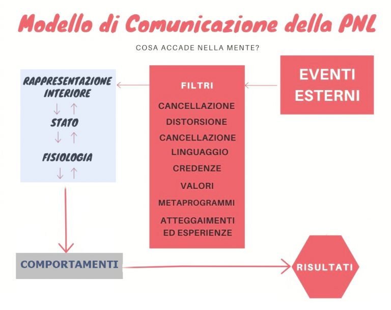 Il sistema rappresentazionale